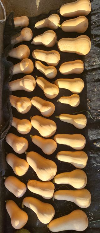 김중언님의 작성글 사진