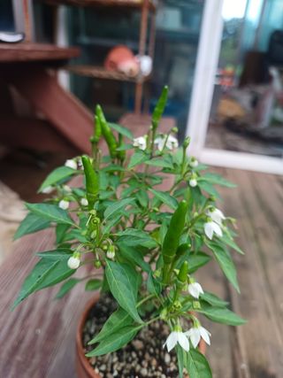 알 수 없음님의 자유주제 · 자유게시판 작성글 사진