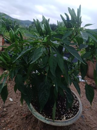 알 수 없음님의 자유주제 · 자유게시판 작성글 사진