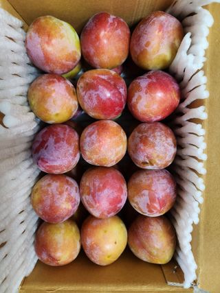 김육환님의 작성글 사진