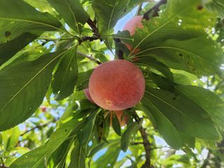 김육환님의 작성글 사진