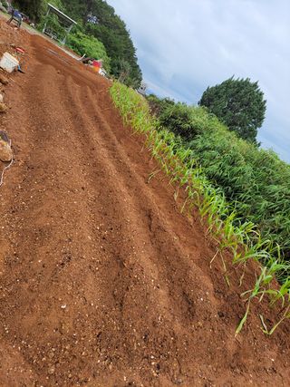 너만아라님의 팜모닝 · 출석 작성글 사진