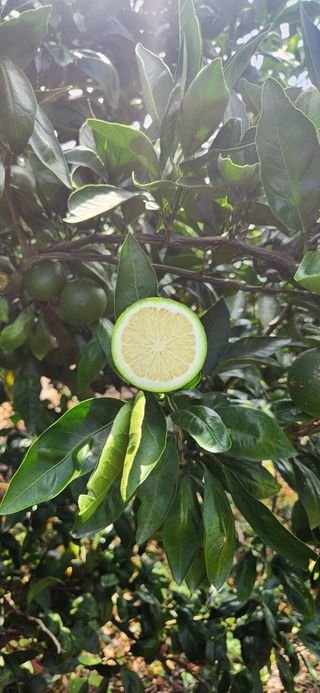 김경희님의 작성글 사진