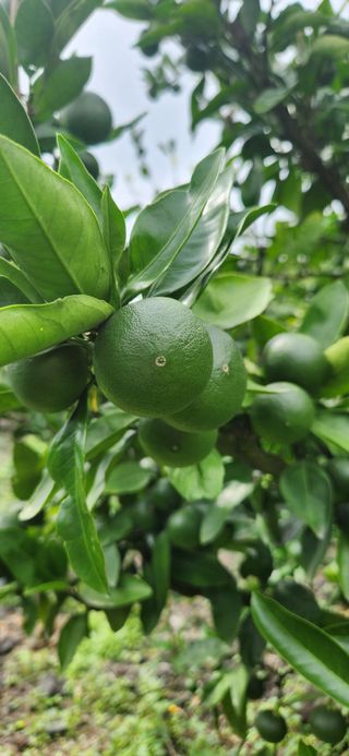 김경희님의 작성글 사진