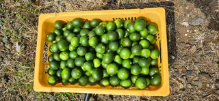 김경희님의 작성글 사진