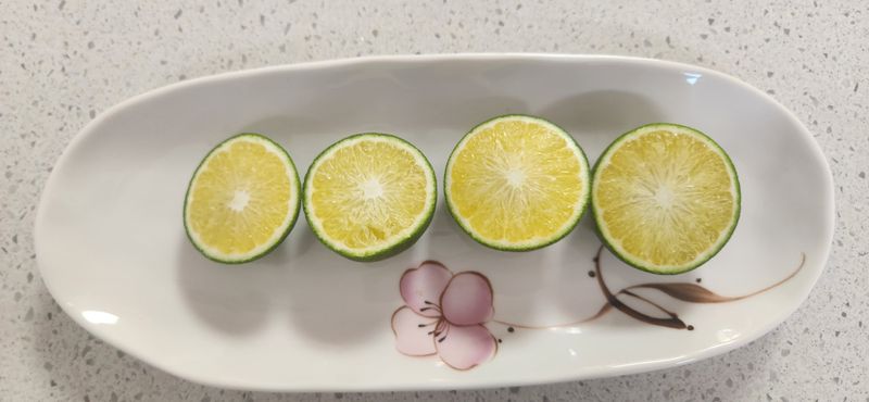 김경희님의 장터 판매 상품 [제주풋귤] 첨부 사진