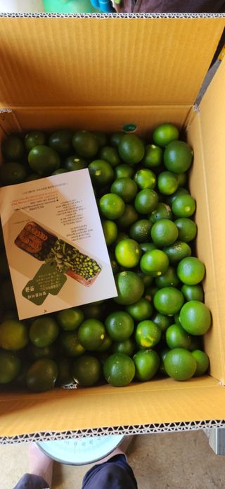 김경희님의 작성글 사진