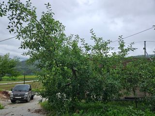 또바기사과(이훈희)님의 사과 · 영농일지 작성글 사진