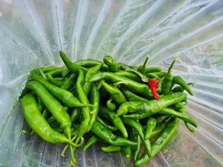 최점규님의 자유주제 · 자유게시판 작성글 사진