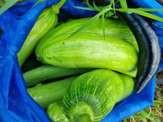 최점규님의 자유주제 · 자유게시판 작성글 사진