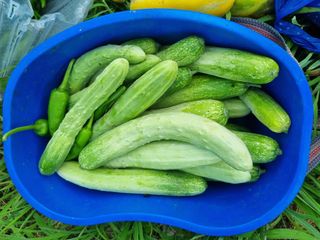 최점규님의 자유주제 · 자유게시판 작성글 사진