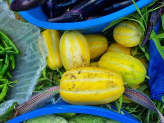 최점규님의 자유주제 · 자유게시판 작성글 사진