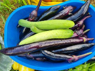 최점규님의 자유주제 · 자유게시판 작성글 사진