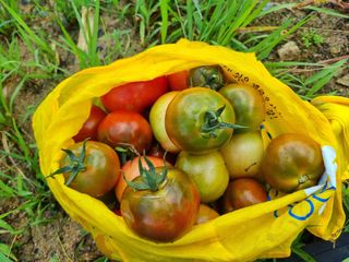 최점규님의 자유주제 · 자유게시판 작성글 사진