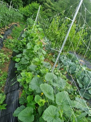 최점규님의 자유주제 · 자유게시판 작성글 사진