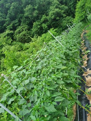 최점규님의 자유주제 · 자유게시판 작성글 사진