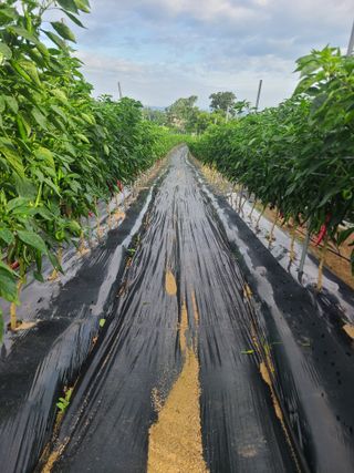 이뿐간장님의 자유주제 · 자유게시판 작성글 사진