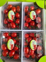 팜모닝 자유주제·자유게시판 게시글 이미지