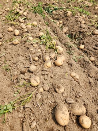 원주청년님의 자유주제 · 자유게시판 작성글 사진