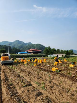 원주청년님의 자유주제 · 자유게시판 작성글 사진