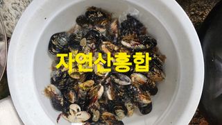 장철식님의 자유주제 · 자유게시판 작성글 사진