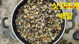 장철식님의 자유주제 · 자유게시판 작성글 사진