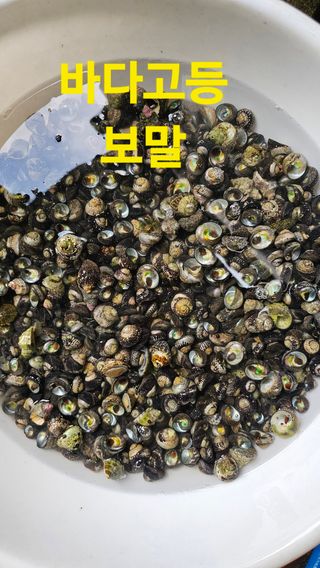 장철식님의 자유주제 · 자유게시판 작성글 사진