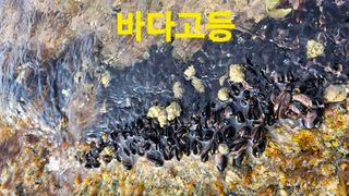 장철식님의 자유주제 · 자유게시판 작성글 사진