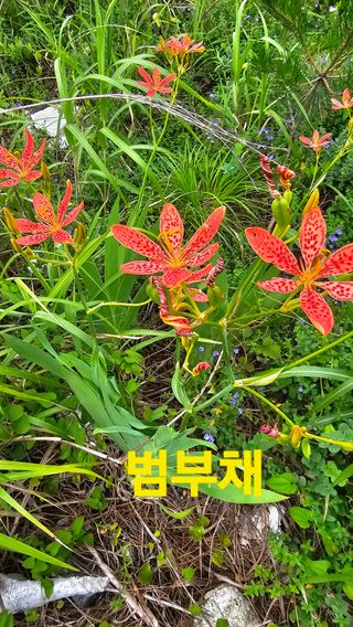 장철식님의 자유주제 · 자유게시판 작성글 사진