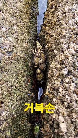 장철식님의 자유주제 · 자유게시판 작성글 사진