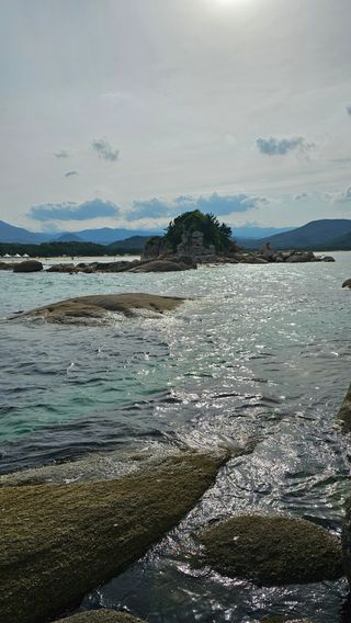 장철식님의 자유주제 · 자유게시판 작성글 사진