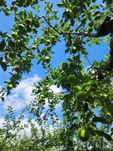 팜모닝 감·자유게시판 게시글 이미지