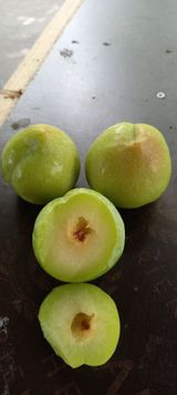 팜모닝 자유주제·자유게시판 게시글 이미지