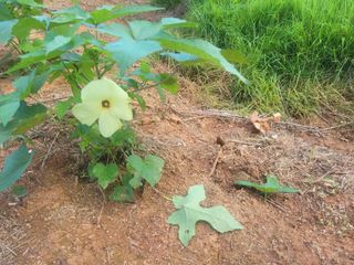 이원우님의 자유주제 · 자유게시판 작성글 사진