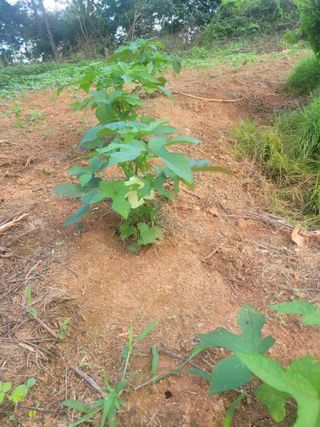 이원우님의 자유주제 · 자유게시판 작성글 사진