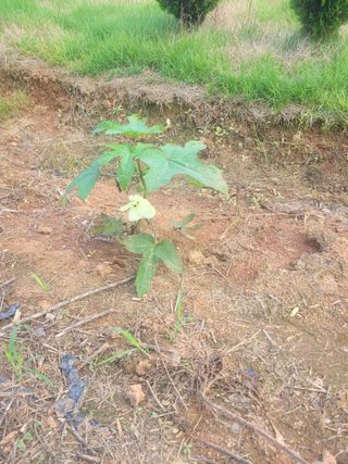 이원우님의 자유주제 · 자유게시판 작성글 사진