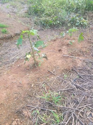 이원우님의 자유주제 · 자유게시판 작성글 사진