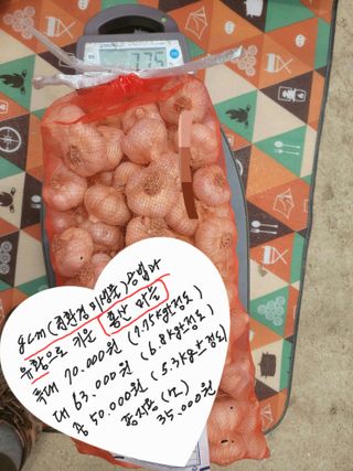 다둥이네농장님의 🧄마늘 농협 수매가 알아보기 · 참여글 작성글 사진