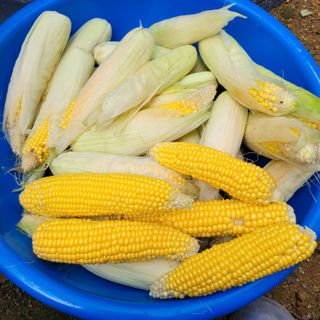 이창화님의 자유주제 · 자유게시판 작성글 사진