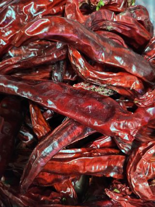 김영주님의 자유주제 · 자유게시판 작성글 사진