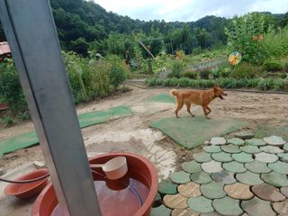 오영도님의 자유주제 · 자유게시판 작성글 사진