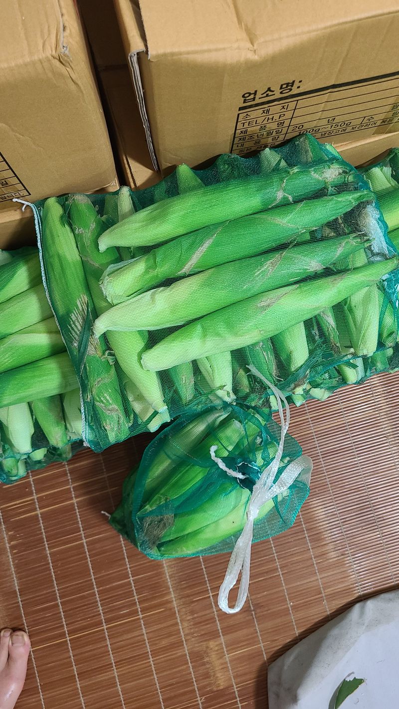 김진권님의 장터 판매 상품 [대학찰옥수수] 첨부 사진