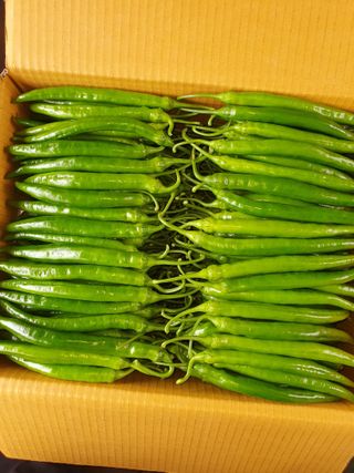 안비님의 자유주제 · 자유게시판 작성글 사진