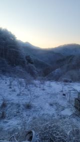 팜모닝 자유주제·사진전 게시글 이미지