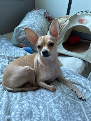 백병기 님의 자유주제 · 사진전 작성글 사진