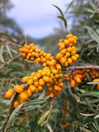 김시헌 님의 자유주제 · 자유게시판 작성글 사진