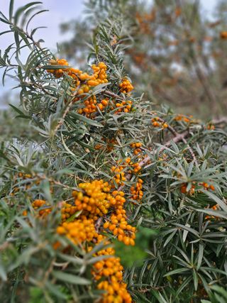 김시헌 님의 자유주제 · 자유게시판 작성글 사진