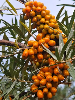 김시헌 님의 자유주제 · 자유게시판 작성글 사진