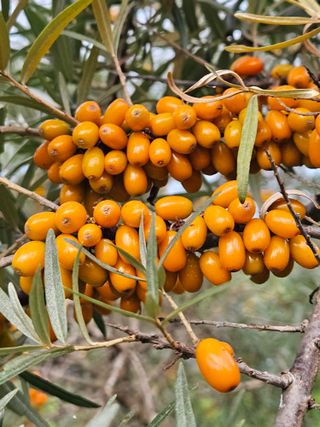 김시헌 님의 자유주제 · 자유게시판 작성글 사진