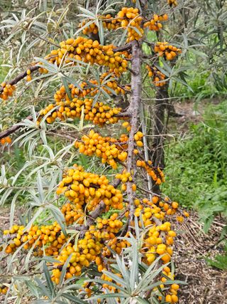 김시헌 님의 자유주제 · 자유게시판 작성글 사진